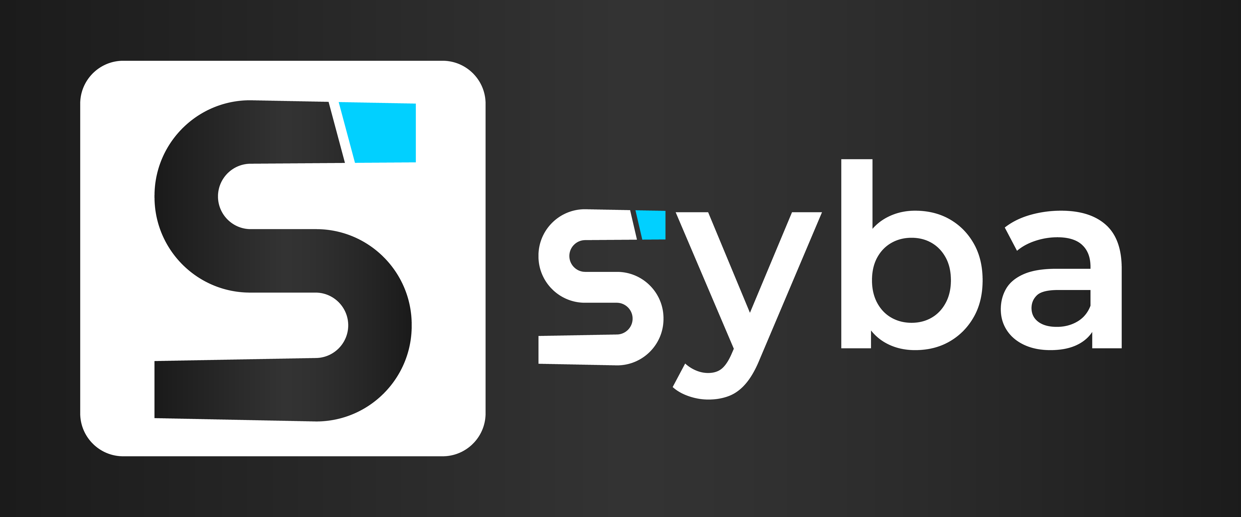 Syba Group Team